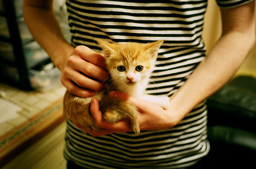 华体会网址-虚拟与现实交织的篮球之梦，广东末节逆袭篮网