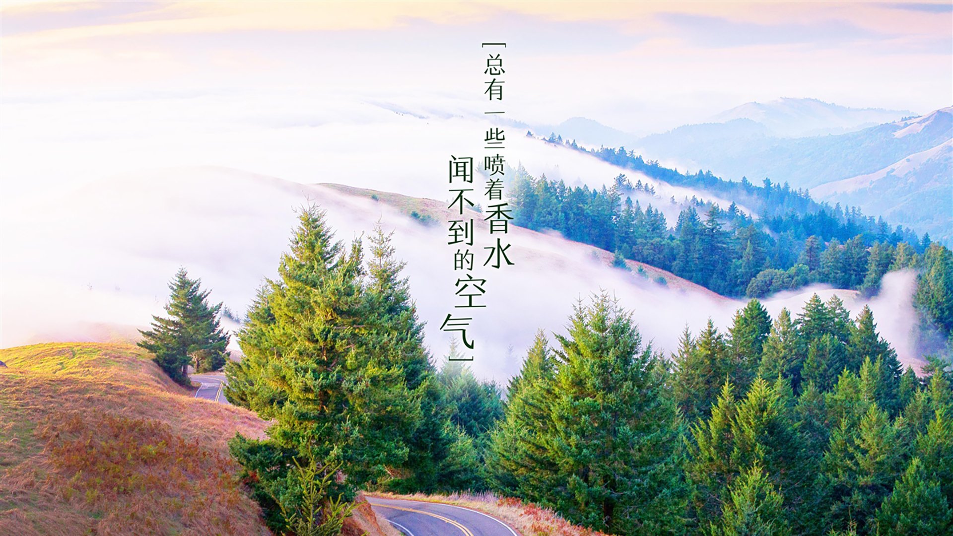 唯一的一剑，当摩洛哥的狂沙碾过高丽，托纳利在2026留下了不朽的印记